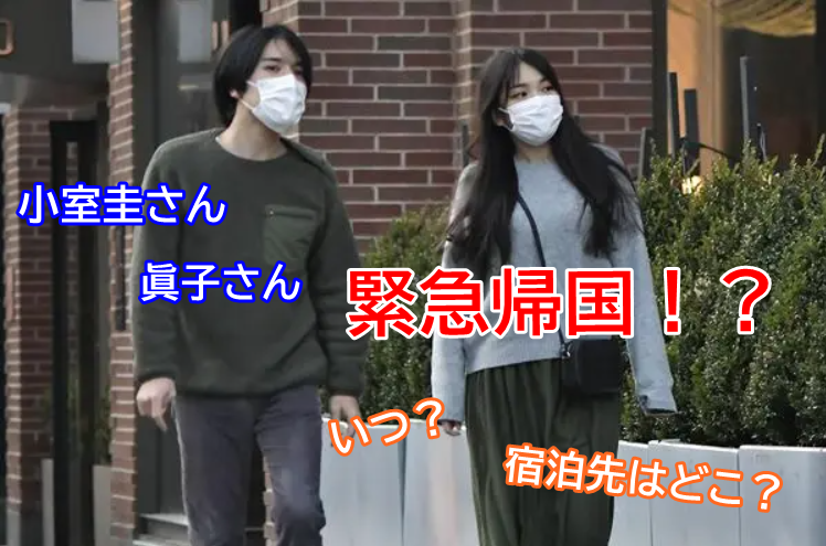 小室圭さん眞子さん緊急帰国はいつ？宿泊先はどこ？