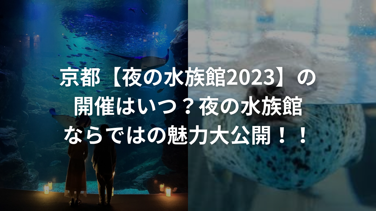 京都【夜の水族館2023】の開催はいつ？お得な入場方法や夜の魅力を大調査！